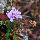 종점세탁소 이미지