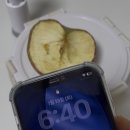 진공농장 | 다이소 진공 밀폐용기 유리 타입, 밀폐력 테스트 후기