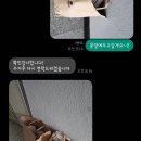 뽀송이 운동화 세탁 네이버블로그