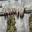 도둑과시인 이미지