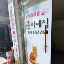 대흥약품(주) | 안산 고양이카페 아이랑갈만한곳 쿤이네집 안산 데이트 장소로도 추천해요
