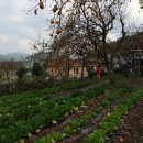 도진(박달2리) 이미지