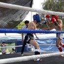 본무술아카데미 이미지