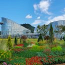 일상의 생활요리 (야간) 이미지