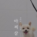 아찌살롱 이미지