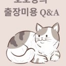 호호냥(Hohonyang) 네이버블로그