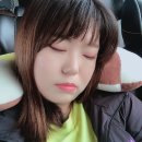 햇빛여행사 이미지