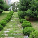 윤은보신도비 이미지