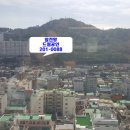 괴정초등학교 Daum카페