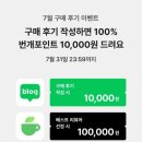 번개쇼핑 네이버블로그