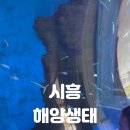 해양치유시티투어 이미지