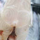 당근 <b>에드모아</b>