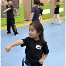 천년태권도 이미지