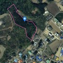 세광 부동산중개사무소 이미지