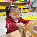 보물섬어린이집 이미지