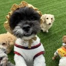 (주)라온부동산중개법인 이미지