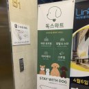 독스힐 이미지