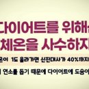 금오핫점핑