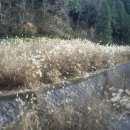 미호박물관 이미지