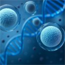 고위드짐 이미지