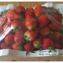 율면농장 이미지