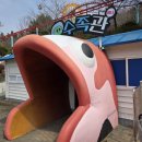 청룡카랜드 이미지