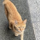 마축항 | 포항가볼맘한곳 구룡포일본 가옥거리 다녀온 후기