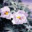 수채화2 이미지