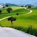 푸른초원 이미지