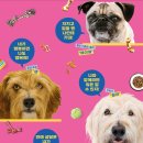 해피도그 이미지