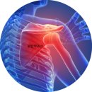 상남동268 이미지