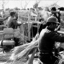 도천면사무소 이미지