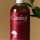 밸런스 바디디자인 이미지