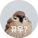 오투플렉스 | 갬성 플랜테리어를 꿈꾸는 초보 식집사 새댁의 거침없는 식쇼 현장