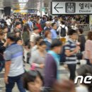 서울양은 이미지