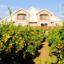 클로버펜션 이미지