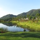 고창선운사 정금자할매풍천장어 이미지