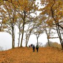 봉곡동185 이미지