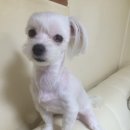 가림유치원 이미지