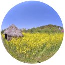 새싹유치원, 연세유치원 | 5월에 아이들과 즐기는 석장리 구석기 축제