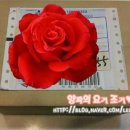 아이밸리안경원 이미지