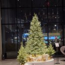 시골아줌마스테이 | 💛 대구 투썸이랑 뭐가 다를까? 궁금해서 다녀온 서울 서대문 투썸 ☕ 대구아줌마 찐후기