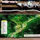 솔향수목원(솔숲광장) 이미지