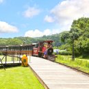 에코랜드 이미지