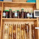 산초당건재도매한약 | 인동 산삼 약초방 구미 광동 산약초 송이 능이 하수오 홍삼