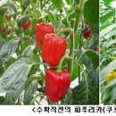 경제가스 이미지