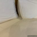 브라운도트호텔고잔점 이미지