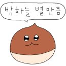 떡군이네떡볶이광주 - 광산구 풍영로229번길 5 | 떡군이네떡볶이광주