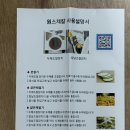 원스디자인 | 편스토랑 류수영 채칼 '원스채칼' 솔직후기: 애호박 채썰기부터 애호박 볶음까지