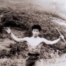 무등산수석